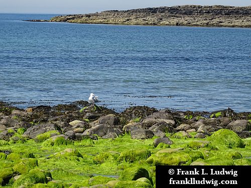 Streedagh Strand